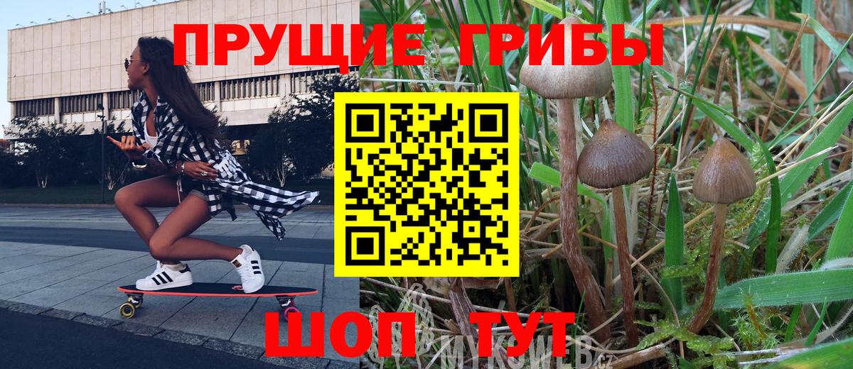 Псилоцибиновые грибы Psilocybine cubensis  Вход с VPN  Кимры 