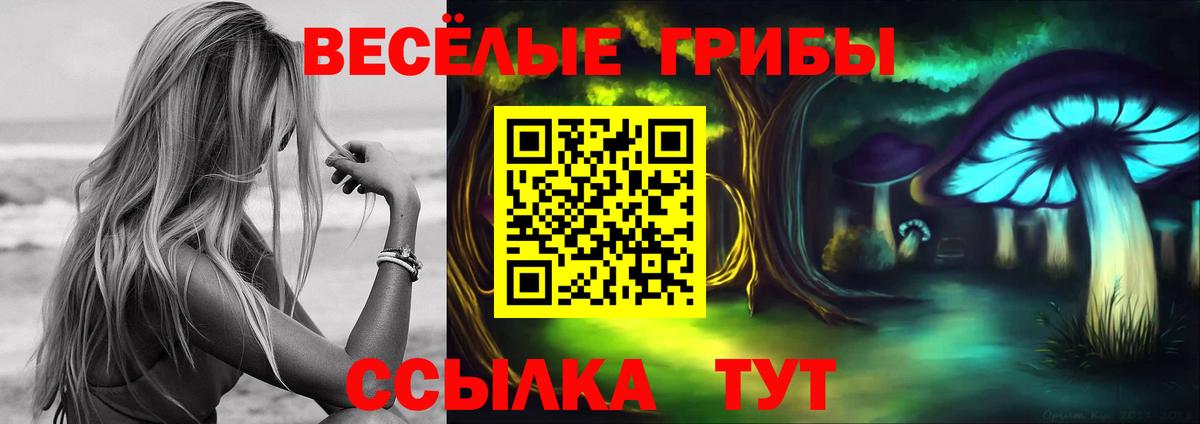 Меф МЯУ МЯУ   Гашиш  А ПВП СК кристаллы  Кимры  Метамфетамин  Вход с VPN  COCAIN  ГЕРОИН 
